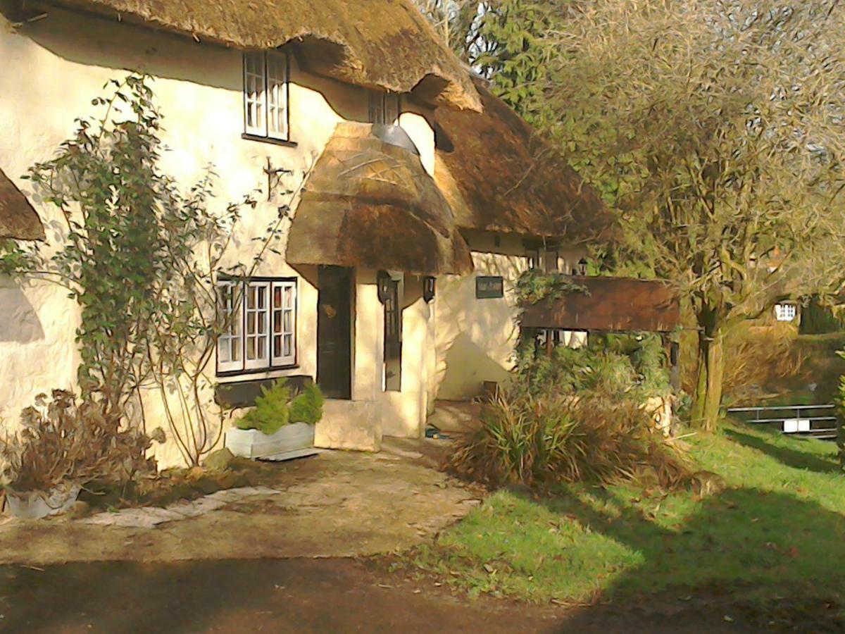 The Crown Mini-hôtel *