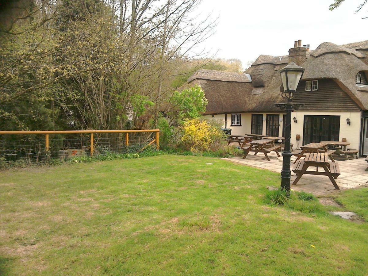 The Crown Alvediston