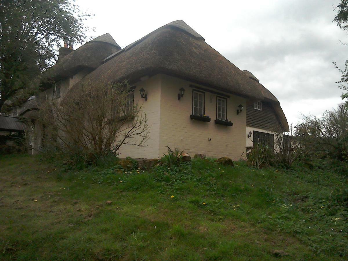 The Crown Mini-hôtel *