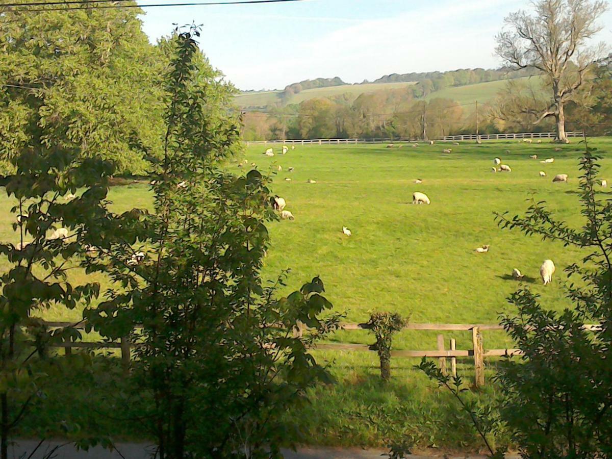 The Crown Alvediston
