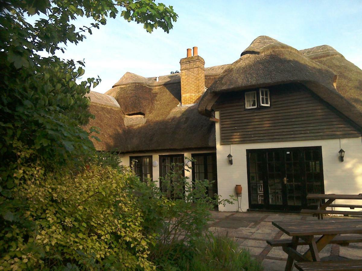 The Crown * Alvediston