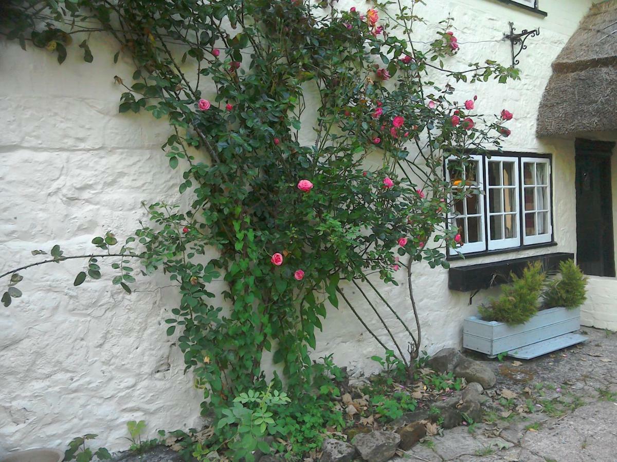 The Crown Mini-hôtel *
