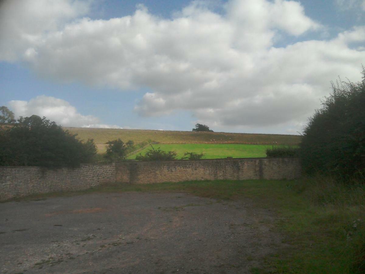 The Crown * Alvediston