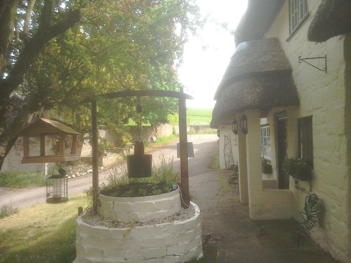 The Crown Alvediston