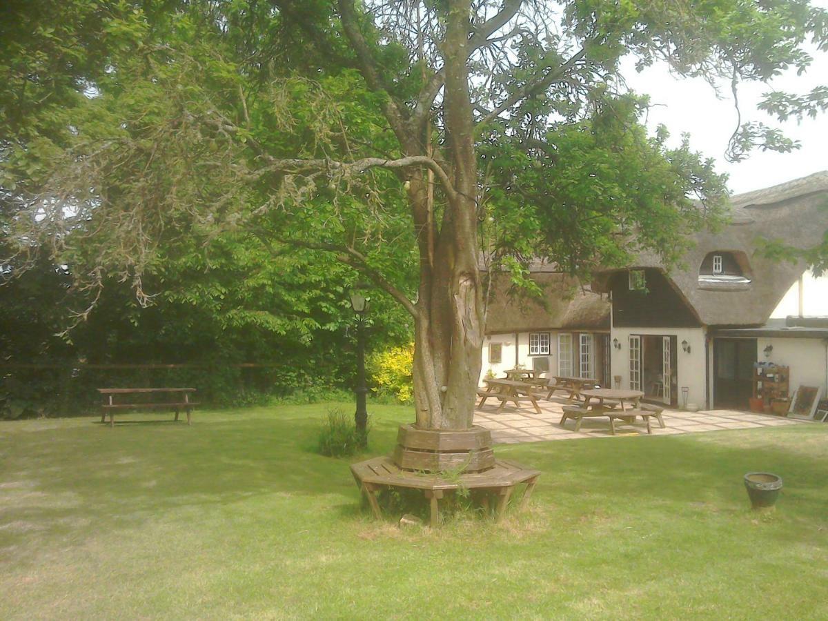 The Crown * Alvediston